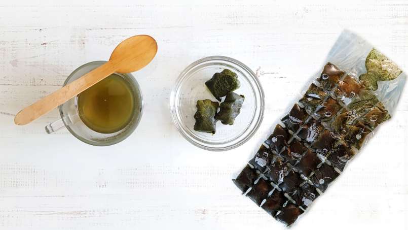 Gefrorene Brennnesselsaft-Eiswürfel